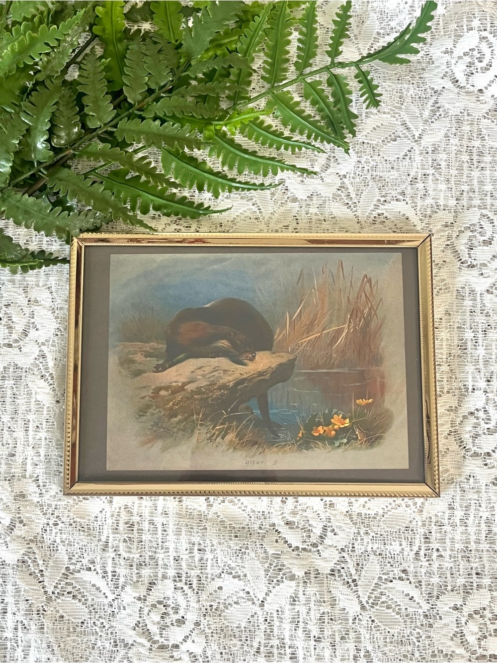 Vintage Brass Framed Otter Decor 5x7